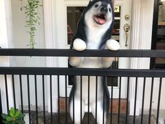 -TrueLove @ Neverland (Husky Cafe)