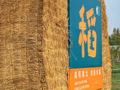 -嘉北郊野公园