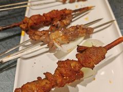 -红柳枝滩羊烧烤·非遗