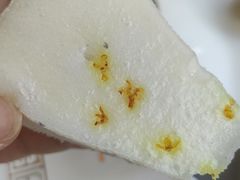 -苏城小院·园林精致苏州菜(斜塘老街店)