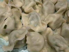 韭菜鸡蛋饺子-老边饺子馆(东单店)