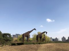 -莲花池公园