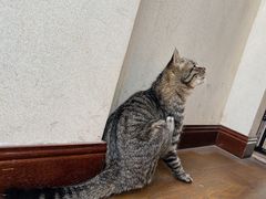 -前叁門