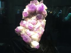 -中华赏石园
