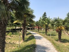 -茂陵博物馆