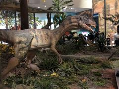 -湖南省地质博物馆