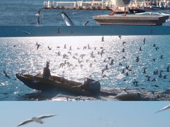 -海埂大坝