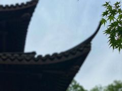 -虎跑公园