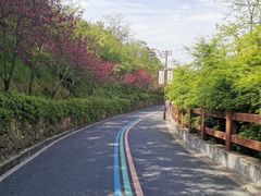 -杭州半山国家森林公园