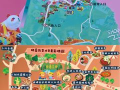 -空港花田景区
