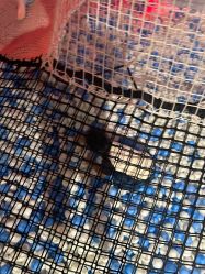 -幻贝家儿童乐园(武汉永旺梦乐城店)