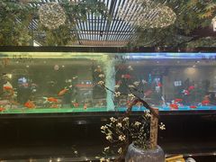 -阳光院坝小龙虾(红牌楼店)