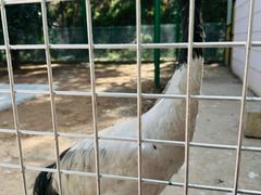 -青藏高原野生动物园