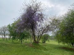 -盘龙城国家考古遗址公园