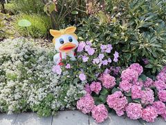 -云溪植物园