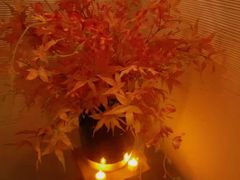 -Dragonfly悠庭·按摩Spa(静安嘉里中心店)