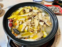 -蘑统田下·野生菌火锅