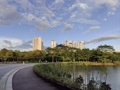 -福田红树林生态公园