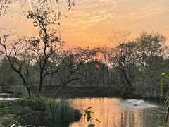 -木守西溪溪隐餐厅