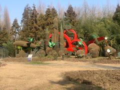 -东平国家森林公园