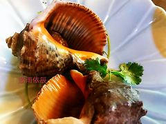 鸿山角螺-堂宴·老厦门私房菜(1988仙岳总店)