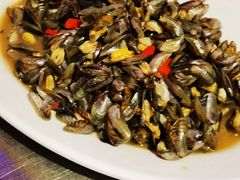 -陈鹏鹏潮汕菜(欢乐海岸 海边景观店)