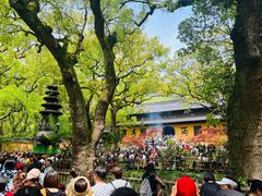 -普陀山风景名胜区-法雨禅寺