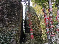 -七仙岭温泉国家森林公园
