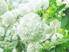 -大龙山(地铁站)