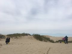 -库伦旗银沙湾旅游景区