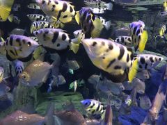 -成都浩海立方海洋公园