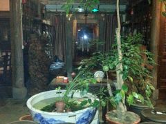 -普洱茶府(博乐广场店)