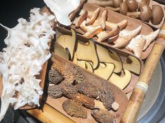 -菌自由丨野生菌火锅特色庭院餐厅(丽江古城店)