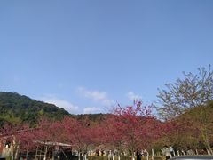 -广州市石门国家森林公园