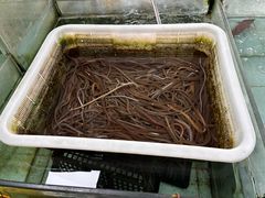 -寻味顺德·南记酒家·传统顺德菜·鱼生(广源路店)