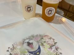 -Husky Go! 哈士奇体验馆·宠物咖啡厅狗咖