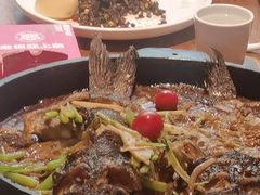 -老板恋上鱼(恒隆广场店)