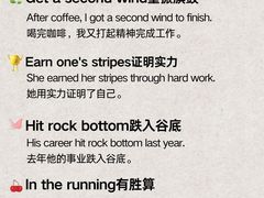 -引领英语·成人口语·雅思托福