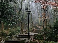 -华溪森林公园-售票处