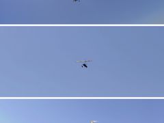 -东堤公园