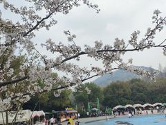 -杭州少年儿童公园