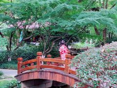 -中国茶叶博物馆(双峰馆区)