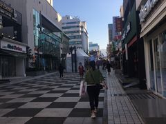 -宝健路步行街(Pedestrian Shopping Street)