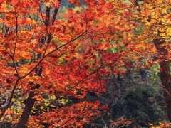 -本溪老边沟风景区