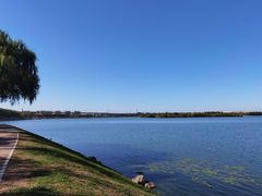 -丁香湖公园