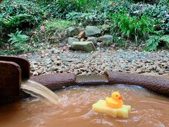 -有马温泉 竹取亭円山温泉旅馆