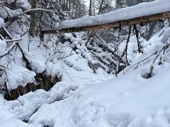 -峡谷浮石林景区