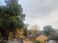 -灵岩山风景区
