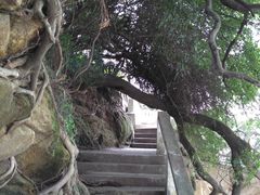 -鼓浪屿钢琴博物馆