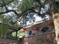 -溪口-滕头旅游景区